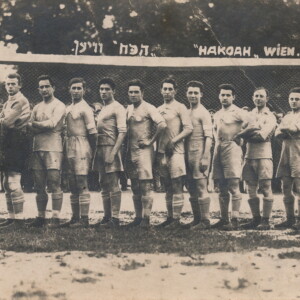 Soccer Vienna team
